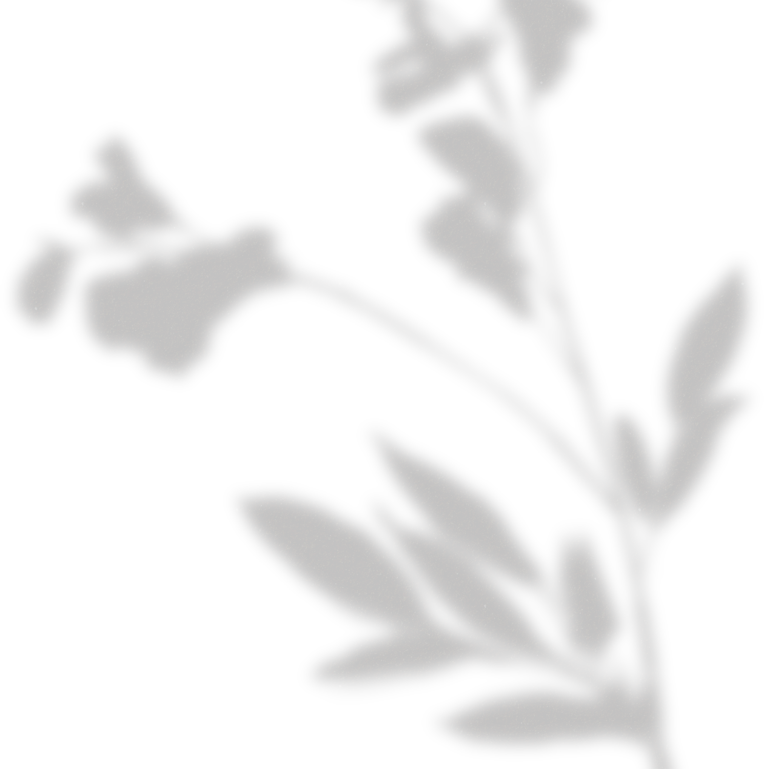 Simple Floral Shadow Thin